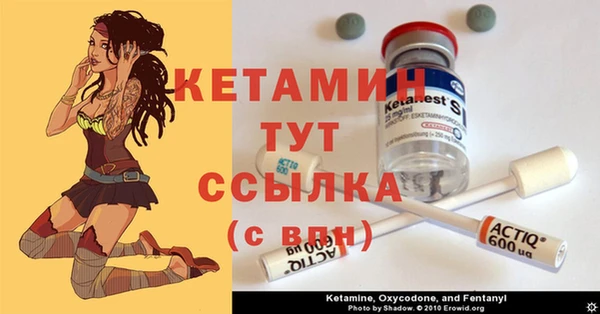 амф Гусиноозёрск