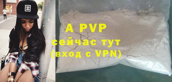 гашик Гусь-Хрустальный