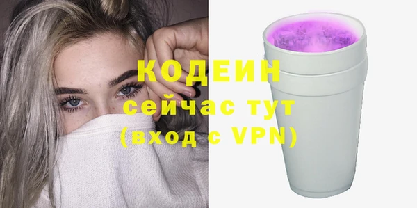 амф Гусиноозёрск