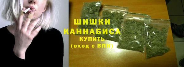 амф Гусиноозёрск