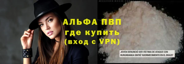 амф Гусиноозёрск