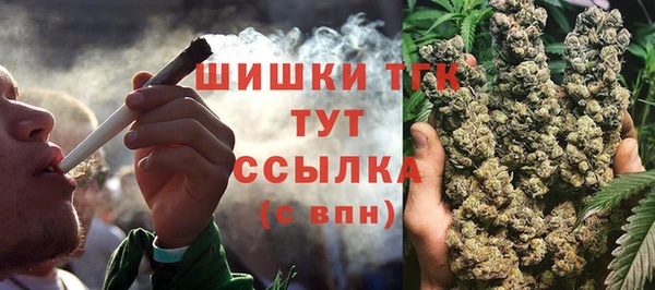 гашик Гусь-Хрустальный