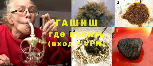 гашик Гусь-Хрустальный