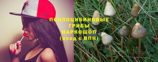амф Гусиноозёрск