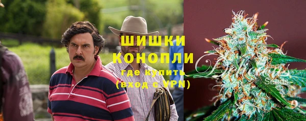 амф Гусиноозёрск