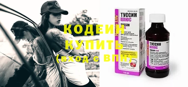 гашик Гусь-Хрустальный