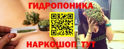 амф Краснознаменск