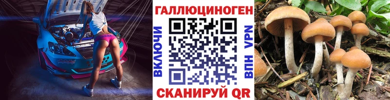 Псилоцибиновые грибы Psilocybe  купить   Еманжелинск 