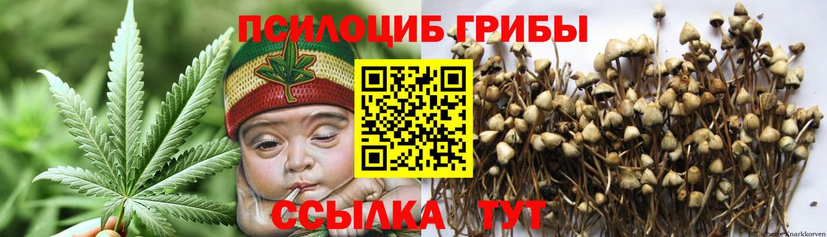 Галлюциногенные грибы MAGIC MUSHROOMS Еманжелинск