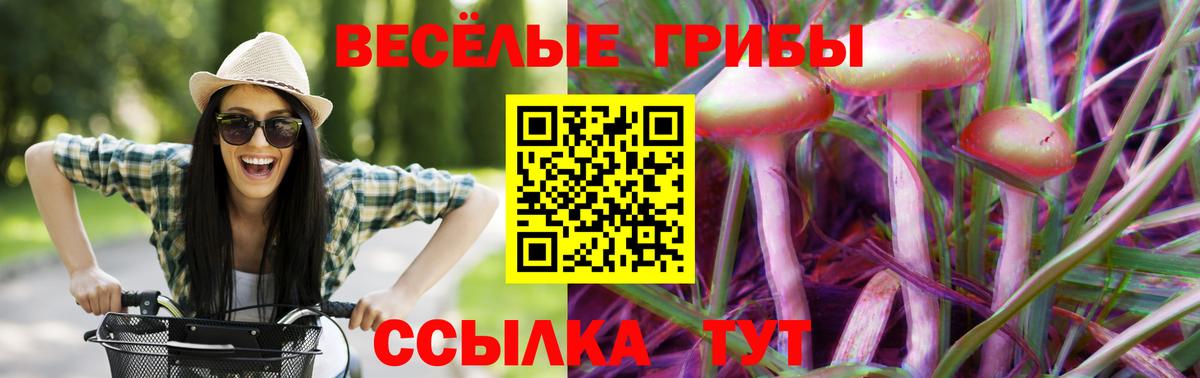 Галлюциногенные грибы мухоморы  Вход с VPN  Галлюциногенные грибы Psilocybe  Еманжелинск 